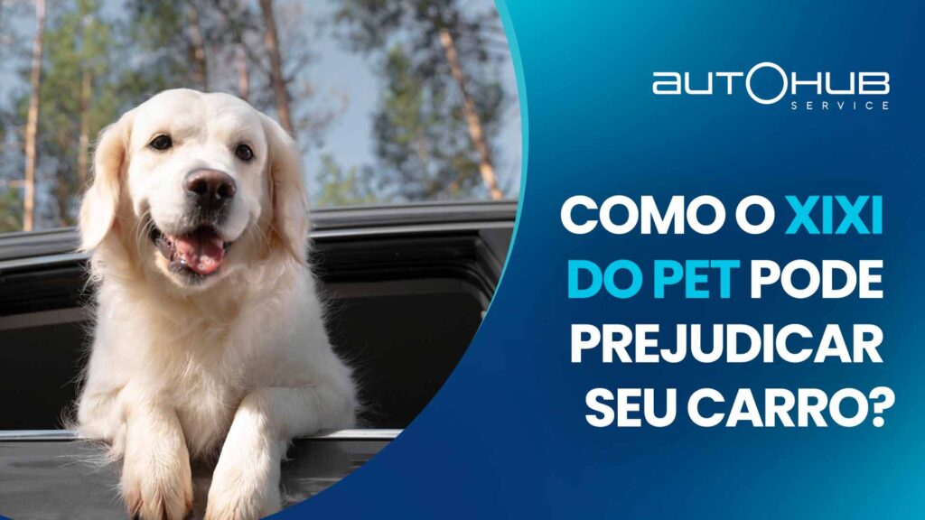 Cachorro para o lado de fora da janela do carro, com o texro: Como o xixi do PET pode prejudicar o seu carro?