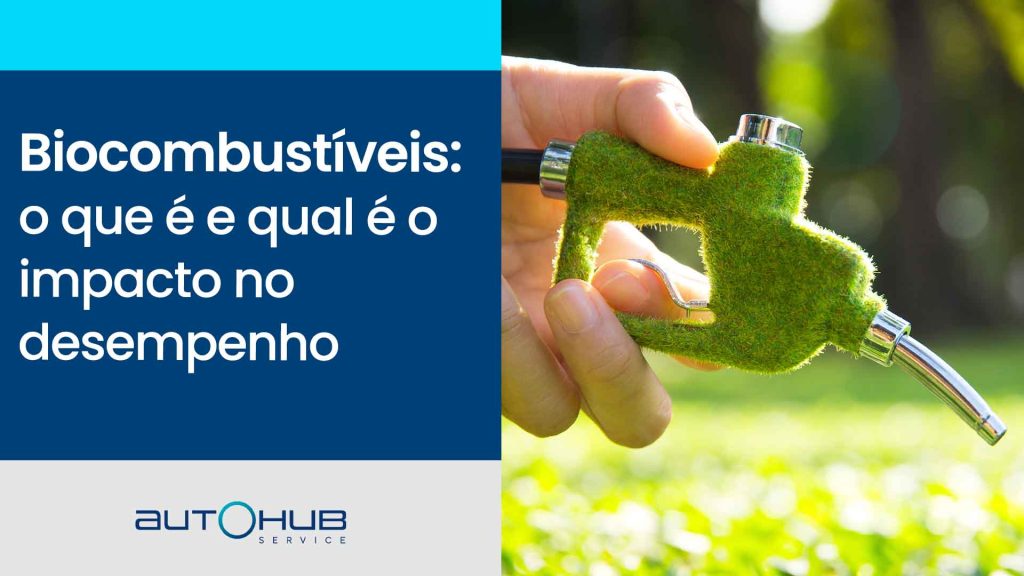 Bocal coberto com folhas para remeter vegetação.